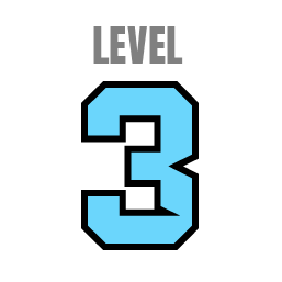 Level 3
