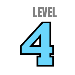 Level 4