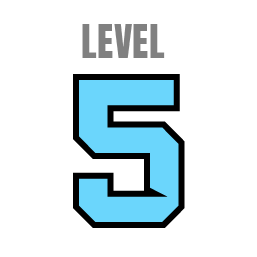 Level 5