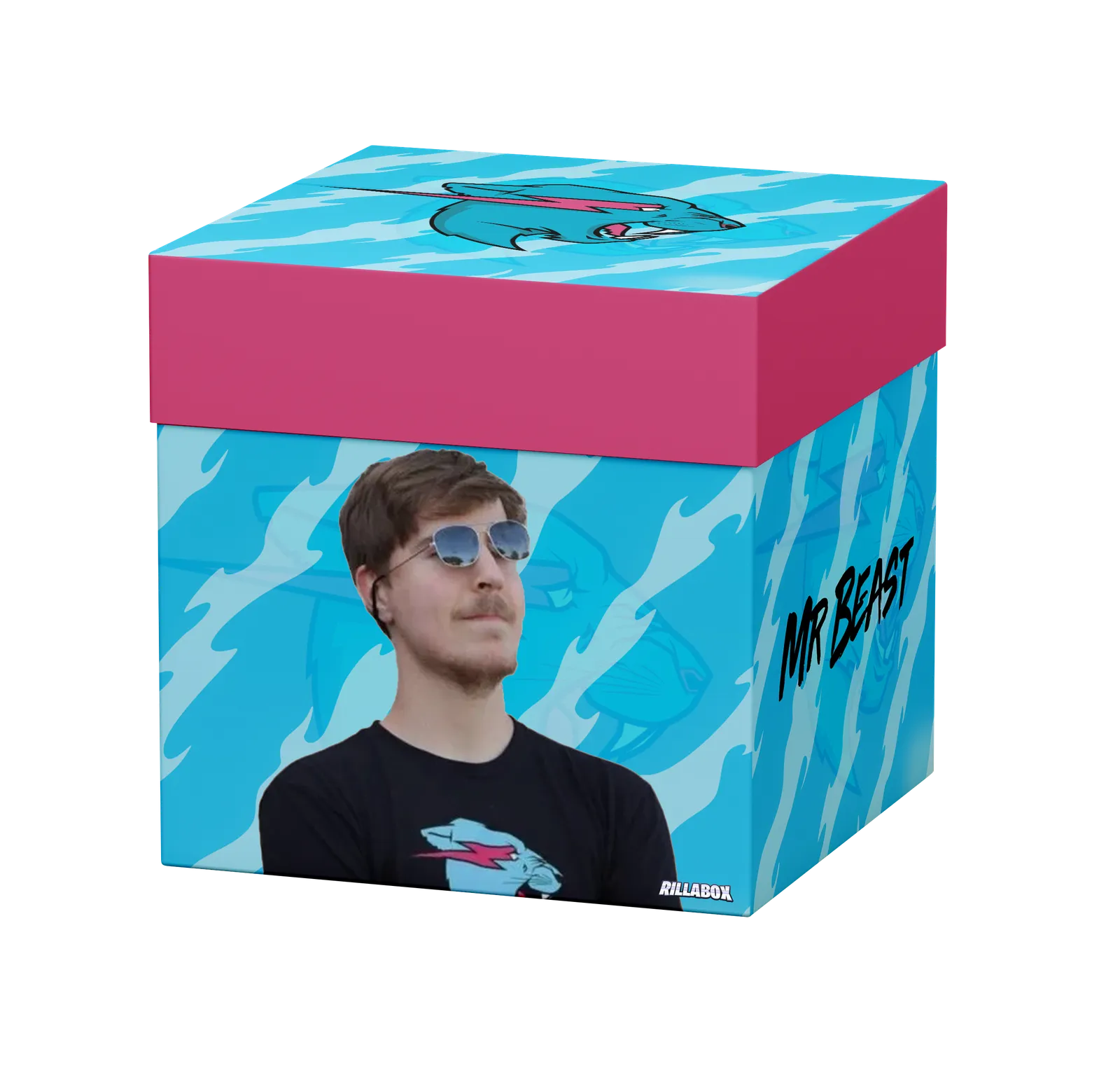 Mr Beast Box View 2