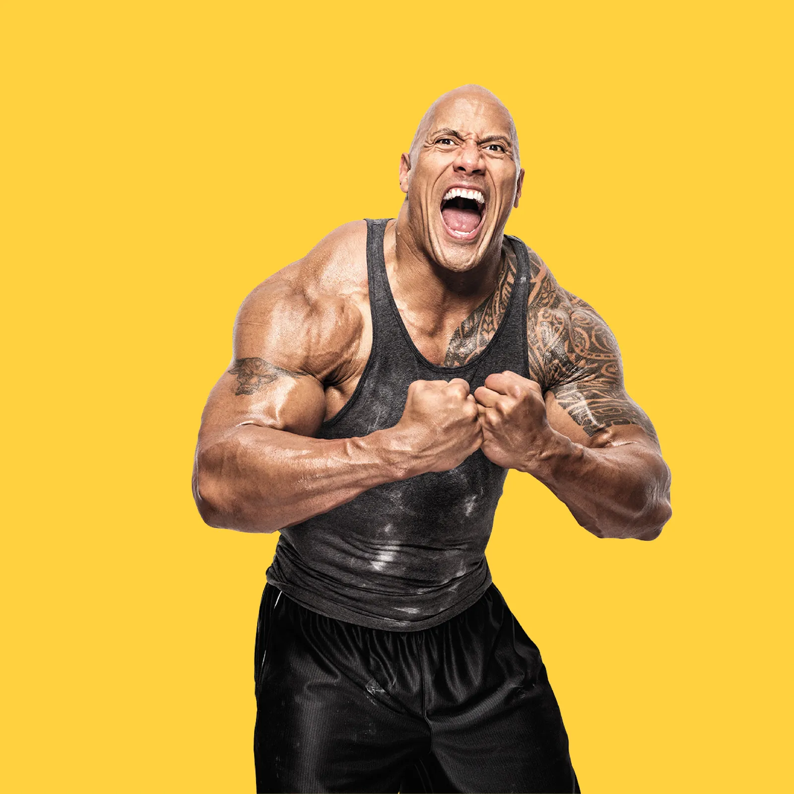 The Rock Box
